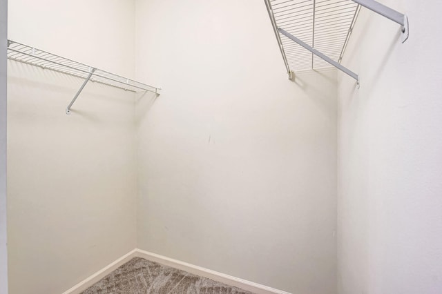 spacious closet with carpet floors