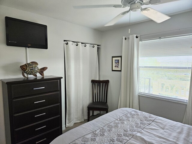 sunroom with ceiling fan