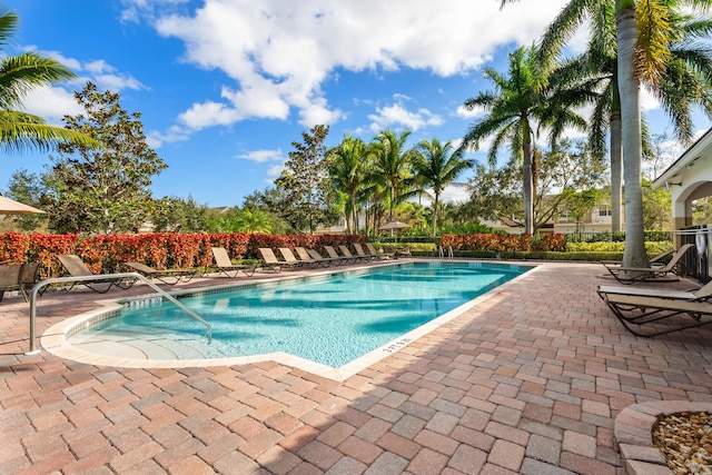 view of swimming pool with a patio