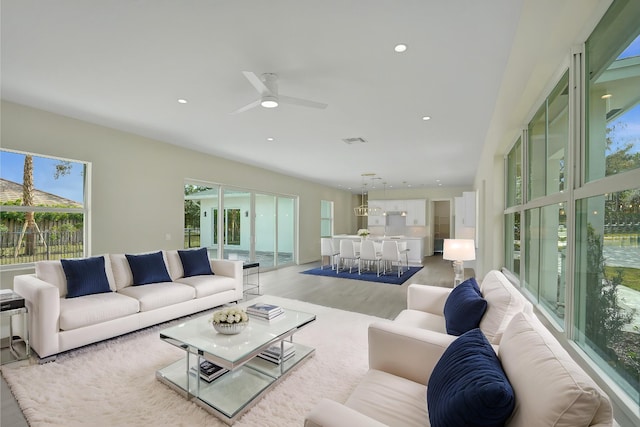 living room with ceiling fan and hardwood / wood-style flooring