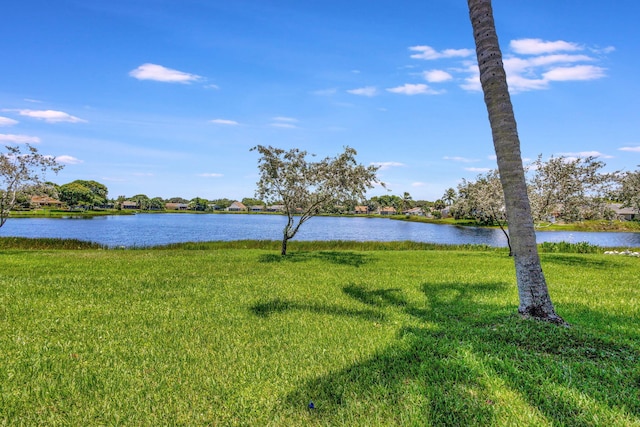 property view of water