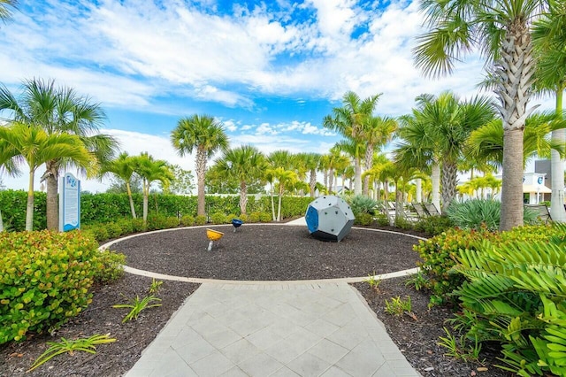 view of jungle gym