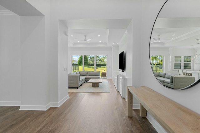 hall with ornamental molding, a raised ceiling, and hardwood / wood-style flooring