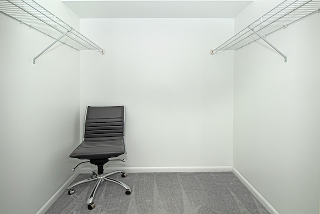 spacious closet featuring carpet floors