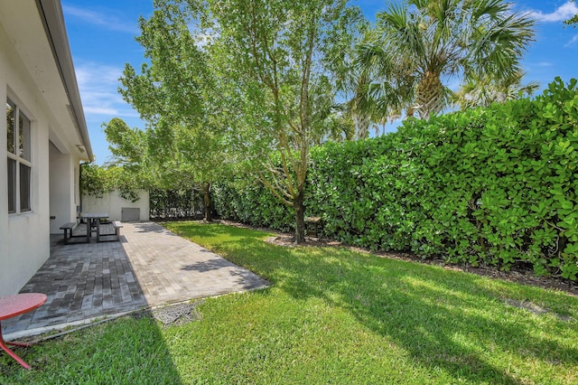 view of yard with a patio area