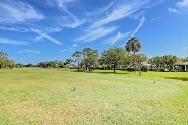 view of home's community with a lawn