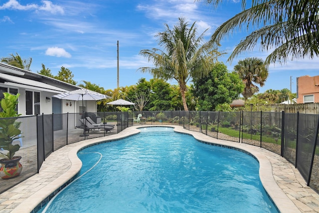 view of pool with a patio area