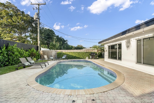 view of swimming pool with a patio area