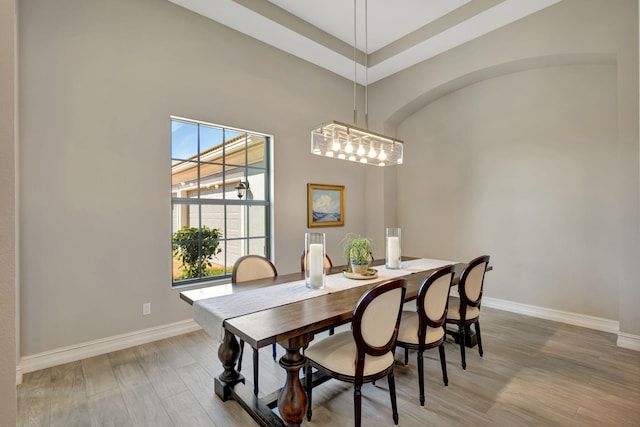 dining area with hardwood / wood-style floors