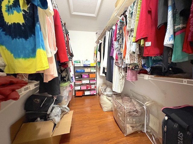 spacious closet featuring hardwood / wood-style flooring