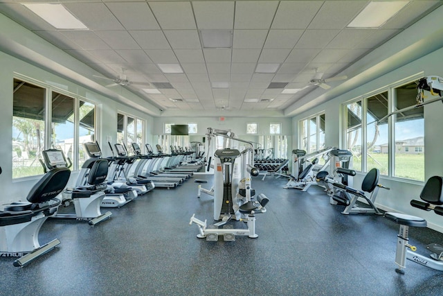 gym with ceiling fan and a drop ceiling