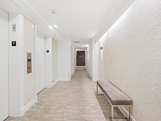 corridor with ornamental molding and light colored carpet