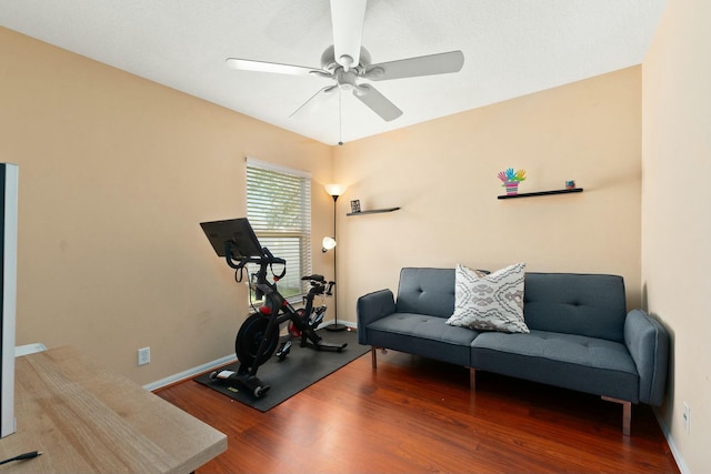 exercise area featuring hardwood / wood-style flooring and ceiling fan