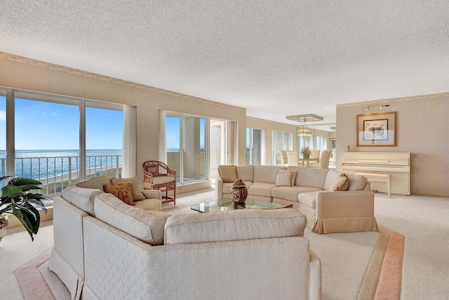 carpeted living room featuring a water view and a textured ceiling