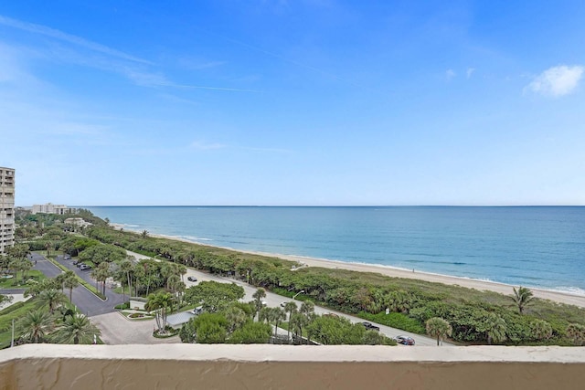 water view featuring a beach view