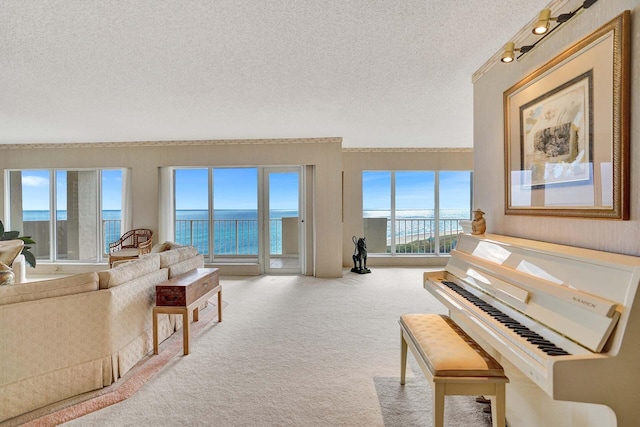 interior space featuring a water view, a healthy amount of sunlight, light colored carpet, and a textured ceiling