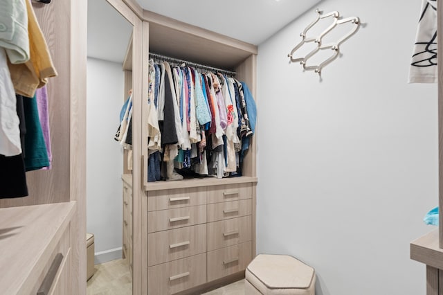 view of spacious closet