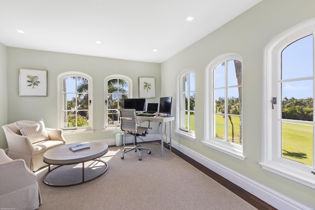 office area with wood-type flooring and plenty of natural light