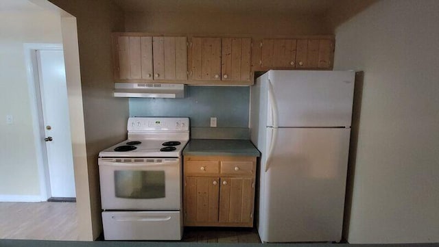 kitchen featuring range hood and white appliances