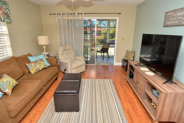 living room featuring ceiling fan and wood-type flooring