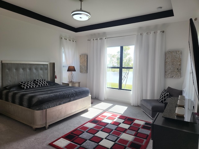 bedroom featuring a tray ceiling and carpet flooring