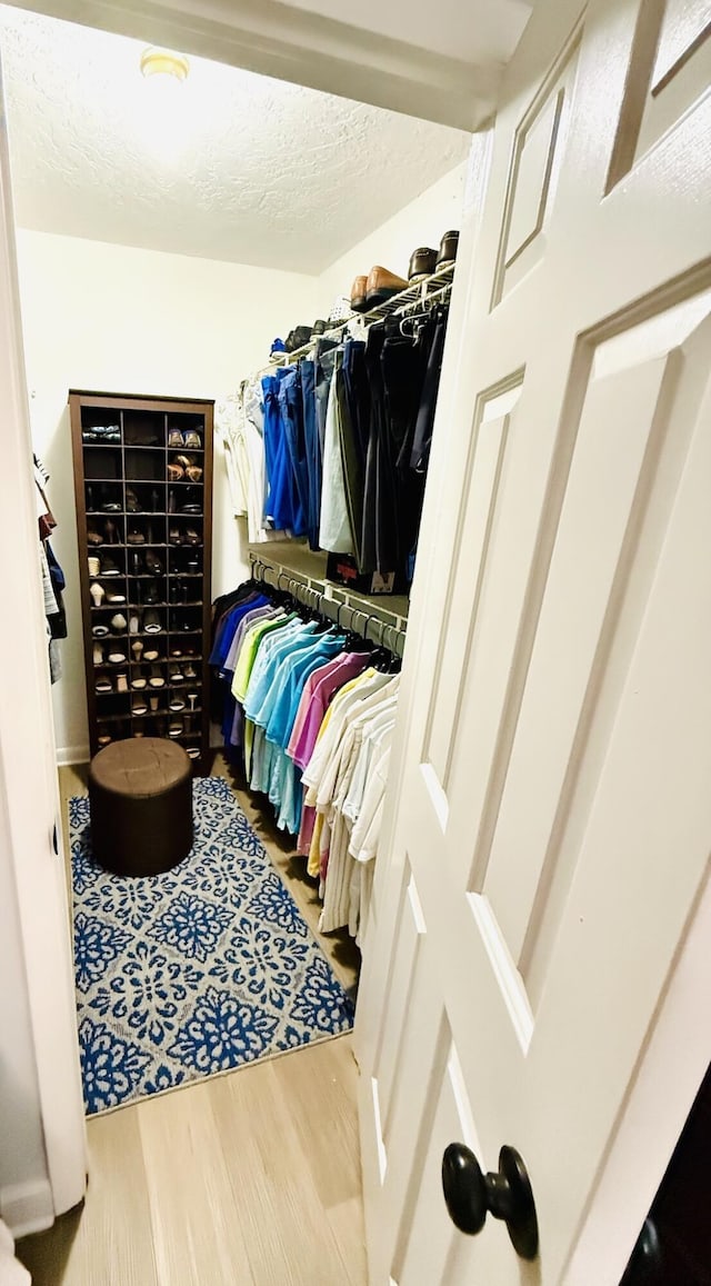 spacious closet with hardwood / wood-style floors