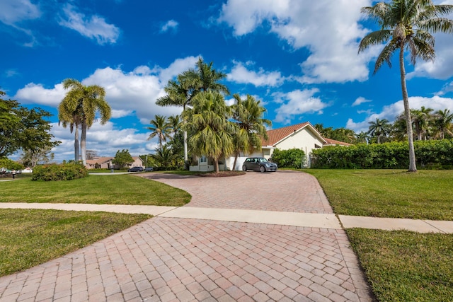 exterior space with a lawn