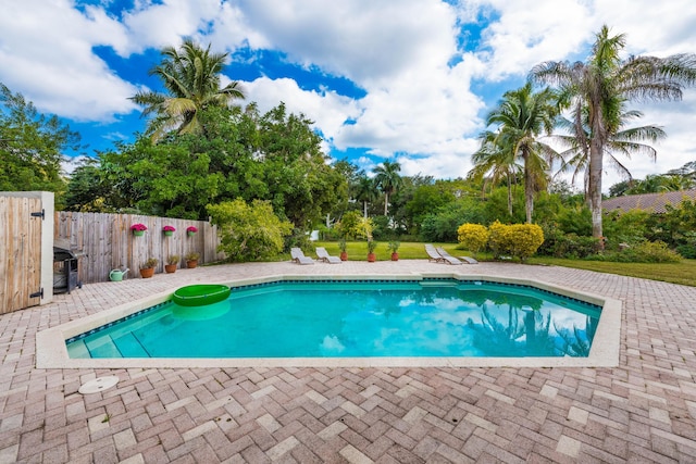 view of swimming pool