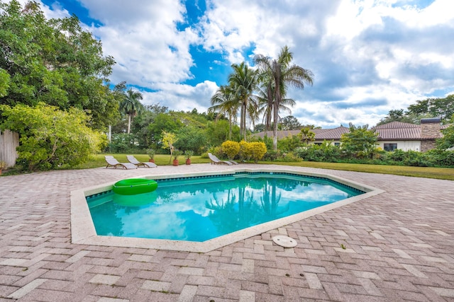 view of swimming pool with a patio