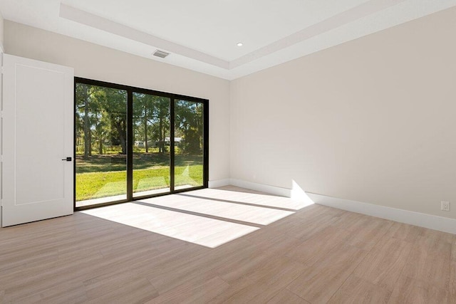 spare room featuring a raised ceiling and light wood-type flooring