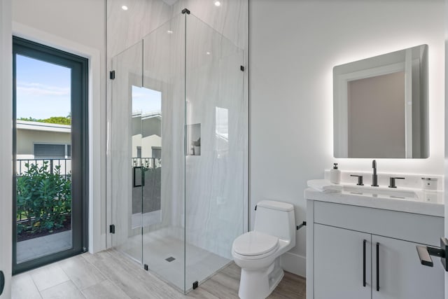 bathroom with toilet, a healthy amount of sunlight, an enclosed shower, and vanity