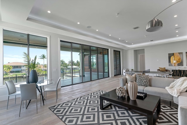 living room featuring a tray ceiling and light hardwood / wood-style flooring