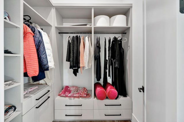 view of closet