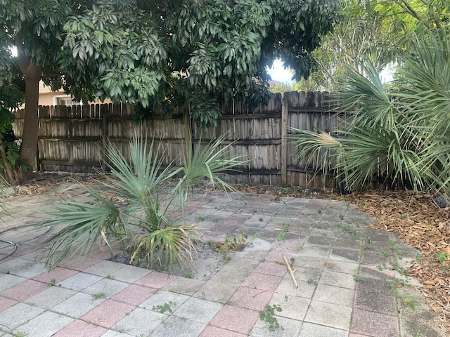 view of yard featuring a patio area