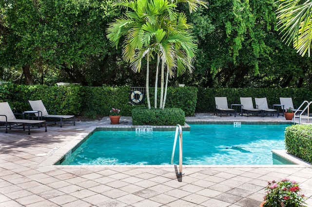 view of swimming pool with a patio area