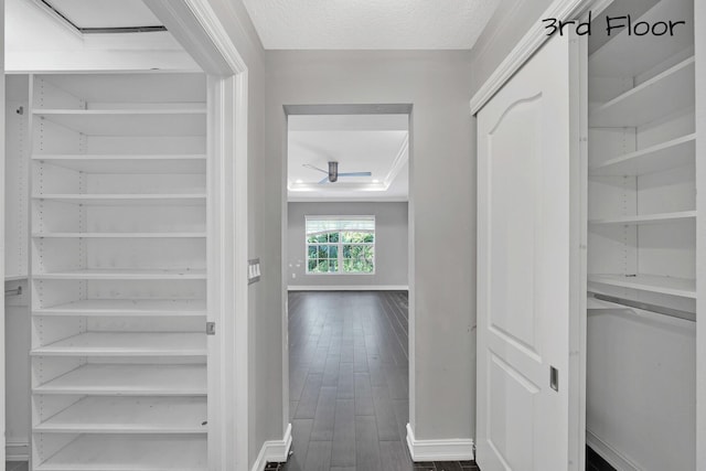 hall with a tray ceiling, a textured ceiling, and dark hardwood / wood-style floors