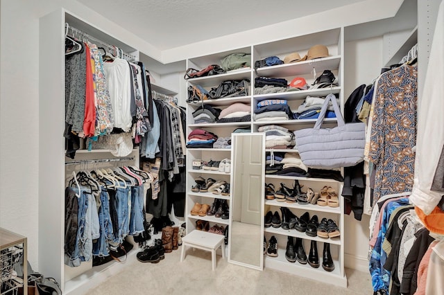 11606 Ponywalk Trl, Boynton Beach, FL 33473 - spacious closet featuring carpet