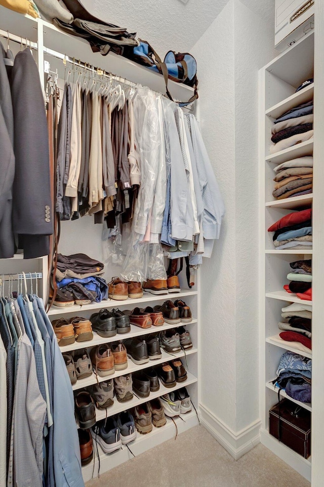 spacious closet featuring carpet