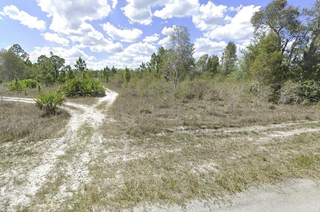 1247 Brunell Ave, Fort Myers FL, 33913 land for sale