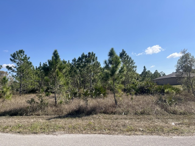 1247 Brunell Ave, Fort Myers FL, 33913 land for sale