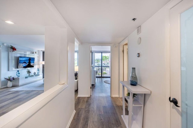 hallway featuring dark hardwood / wood-style floors