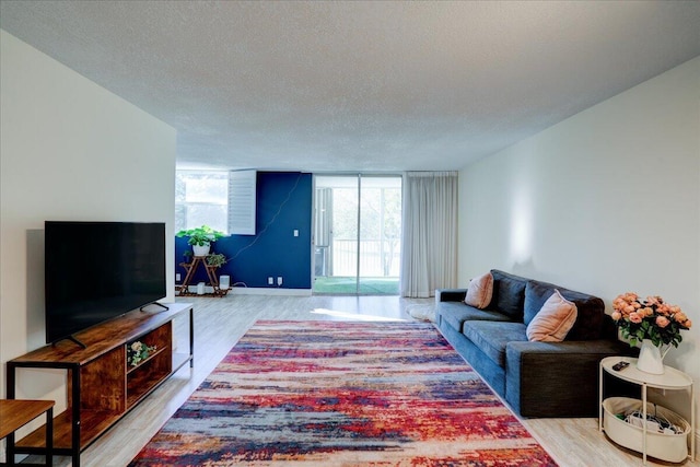 living room featuring a healthy amount of sunlight, light hardwood / wood-style floors, and a textured ceiling