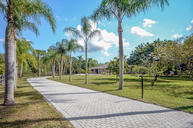 view of property's community featuring a yard