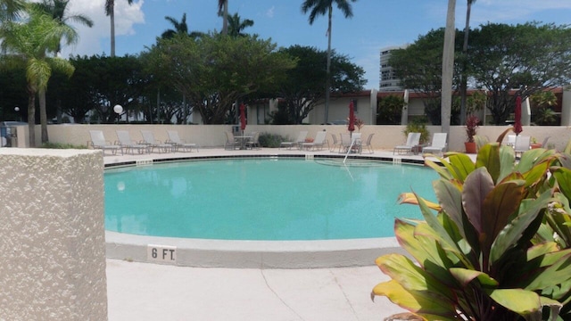 view of pool with a patio area