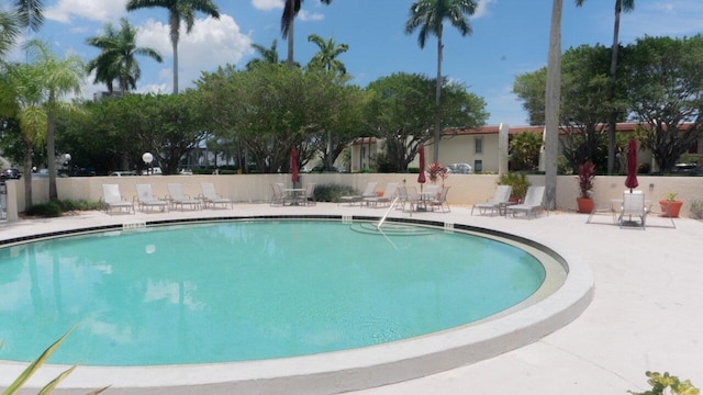 view of swimming pool featuring a patio