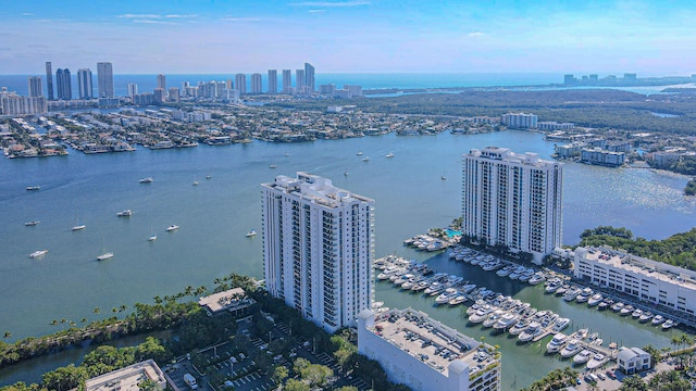 aerial view with a water view