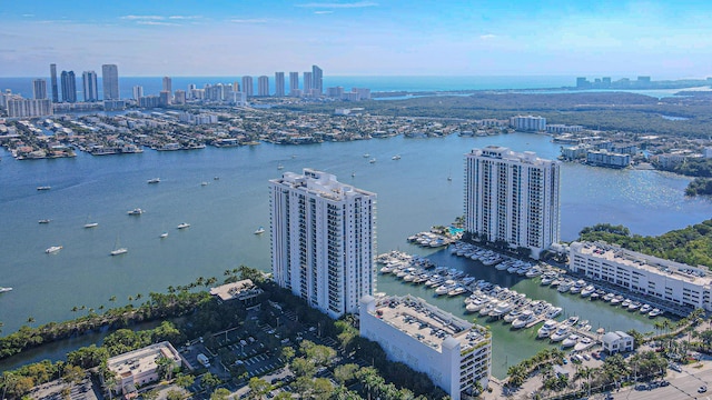 bird's eye view with a water view