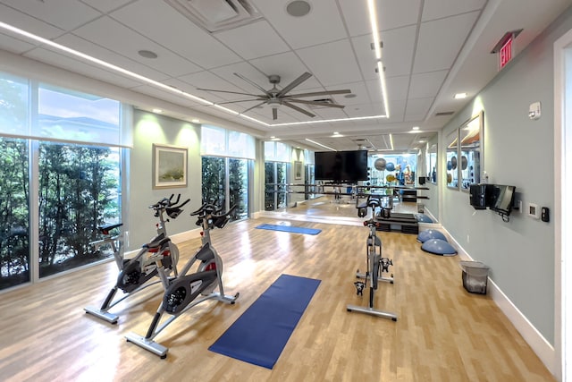 exercise room featuring floor to ceiling windows, ceiling fan, and light wood-type flooring