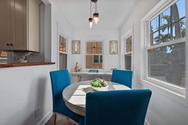 dining room with hardwood / wood-style flooring