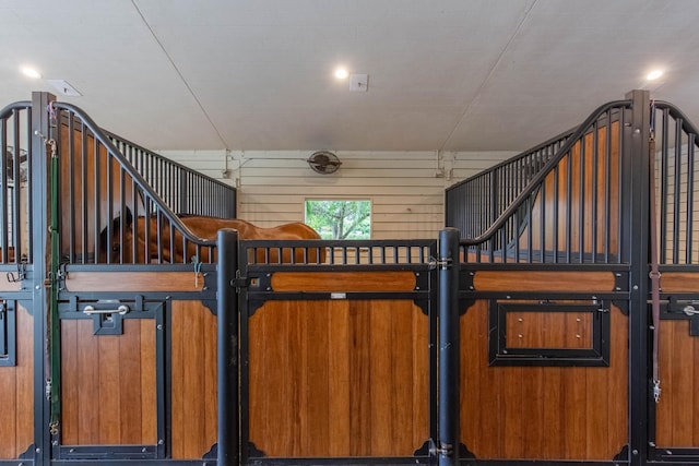 view of horse barn